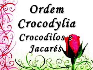 Ordem Crocodylia Crocodilos e Jacarés 