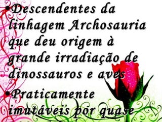 Descendentes da linhagem Archosauria que deu origem à grande irradiação de dinossauros e aves Praticamente imutáveis por quase 200mA 