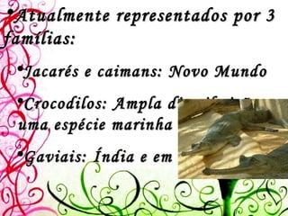 Atualmente representados por 3 famílias: Jacarés e caimans: Novo Mundo Crocodilos: Ampla distribuição e uma espécie marinha Gaviais: Índia e em Burma 