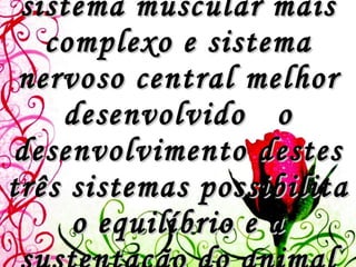 Esqueleto mais forte, sistema muscular mais complexo e sistema nervoso central melhor desenvolvido   o desenvolvimento destes três sistemas possibilita o equilíbrio e a sustentação do animal em ambiente terrestre.   