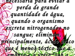 Excreção urinária concentrada  :  adaptação necessária para evitar a perda de grande quantidade de água, quando o organismo excreta nitrogenados no sangue; eliminam, principalmente, ácido úrico que é menos tóxico que a amônia e a uréia, sob a forma de cristais insolúveis.   