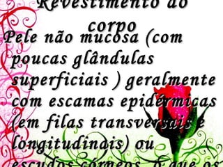 Revestimento do corpo Pele não mucosa (com poucas glândulas superficiais ) geralmente com escamas epidérmicas (em filas transversais e longitudinais) ou escudos córneos, o que os torna capazes de viver em meios secos.  