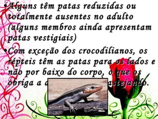 Alguns têm patas reduzidas ou totalmente ausentes no adulto (alguns membros ainda apresentam patas vestigiais) Com exceção dos crocodilianos, os répteis têm as patas para os lados e não por baixo do corpo, o que os obriga a deslocarem-se rastejando.    