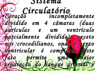 Sistema Circulatório Coração incompletamente dividido em 4 câmaras (duas aurículas e um ventrículo parcialmente dividido), exceto nos crocodilianos, onde o septo ventricular é completo. Este fato permite uma maior separação do sangue arterial e venoso.  Glóbulos vermelhos biconvexos e nucleados.  