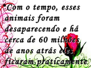 Com o tempo, esses animais foram desaparecendo e há cerca de 60 milhões de anos atrás eles ficaram praticamente extintos, exceto por uma pequena população que vive na Nova Zelândia. 