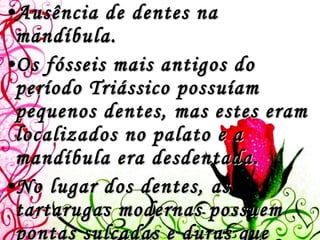 Ausência de dentes na mandíbula.  Os fósseis mais antigos do período Triássico possuíam pequenos dentes, mas estes eram localizados no palato e a mandíbula era desdentada.  No lugar dos dentes, as tartarugas modernas possuem pontas sulcadas e duras que cobrem a mandíbula superior e inferior. Nas tartarugas carnívoras, estas pontas são afiadas e cortantes e funcionam como uma tesoura.  