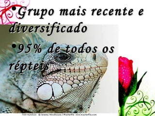 Grupo mais recente e diversificado 95% de todos os répteis 