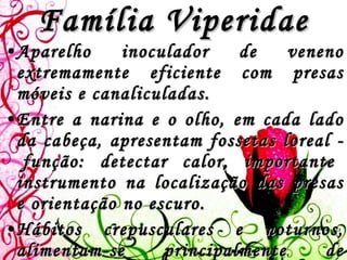 Família Viperidae Aparelho inoculador de veneno extremamente eficiente com presas móveis e canaliculadas.  Entre a narina e o olho, em cada lado da cabeça, apresentam fossetas loreal -  função: detectar calor, importante instrumento na localização das presas e orientação no escuro. Hábitos crepusculares e noturnos, alimentam-se principalmente de pequenos mamíferos. São representadas no Brasil pelos gêneros Bothrops, Bothriopsis, Lachesis e Crotalus. 