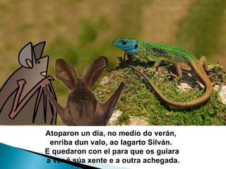 Atoparon un día, no medio do verán,
 enriba dun valo, ao lagarto Silván.
E quedaron con el para que os guiara
a ver á súa xente e a outra achegada.
 