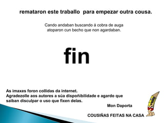remataron este traballo para empezar outra cousa.

                  Cando andaban buscando á cobra de auga
                   atoparon cun becho que non agardaban.




                            fin
As imaxes foron collidas da internet.
Agradezolle aos autores a súa dispoñibilidade e agardo que
saiban disculpar o uso que fixen delas.
                                                   Mon Daporta

                                        COUSIÑAS FEITAS NA CASA
 