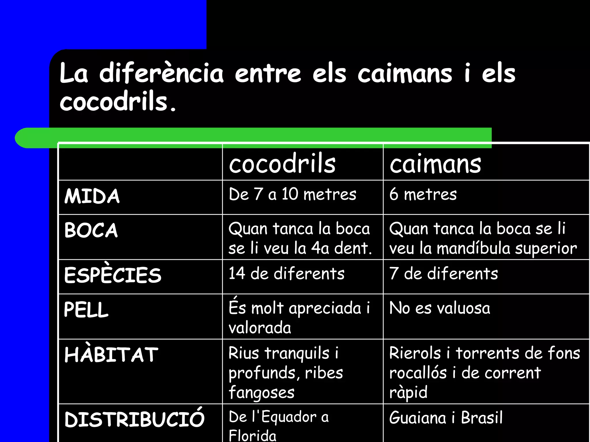 La diferència entre els caimans i els cocodrils. Guaiana i Brasil De l'Equador a Florida   DISTRIBUCIÓ Rierols i torrents de fons rocallós i de corrent ràpid   Rius tranquils i profunds, ribes fangoses   HÀBITAT No es valuosa És molt apreciada i valorada PELL 7 de diferents 14 de diferents ESPÈCIES Quan tanca la boca se li veu la mandíbula superior Quan tanca la boca se li veu la 4a dent.   BOCA 6 metres De 7 a 10 metres MIDA   caimans cocodrils 