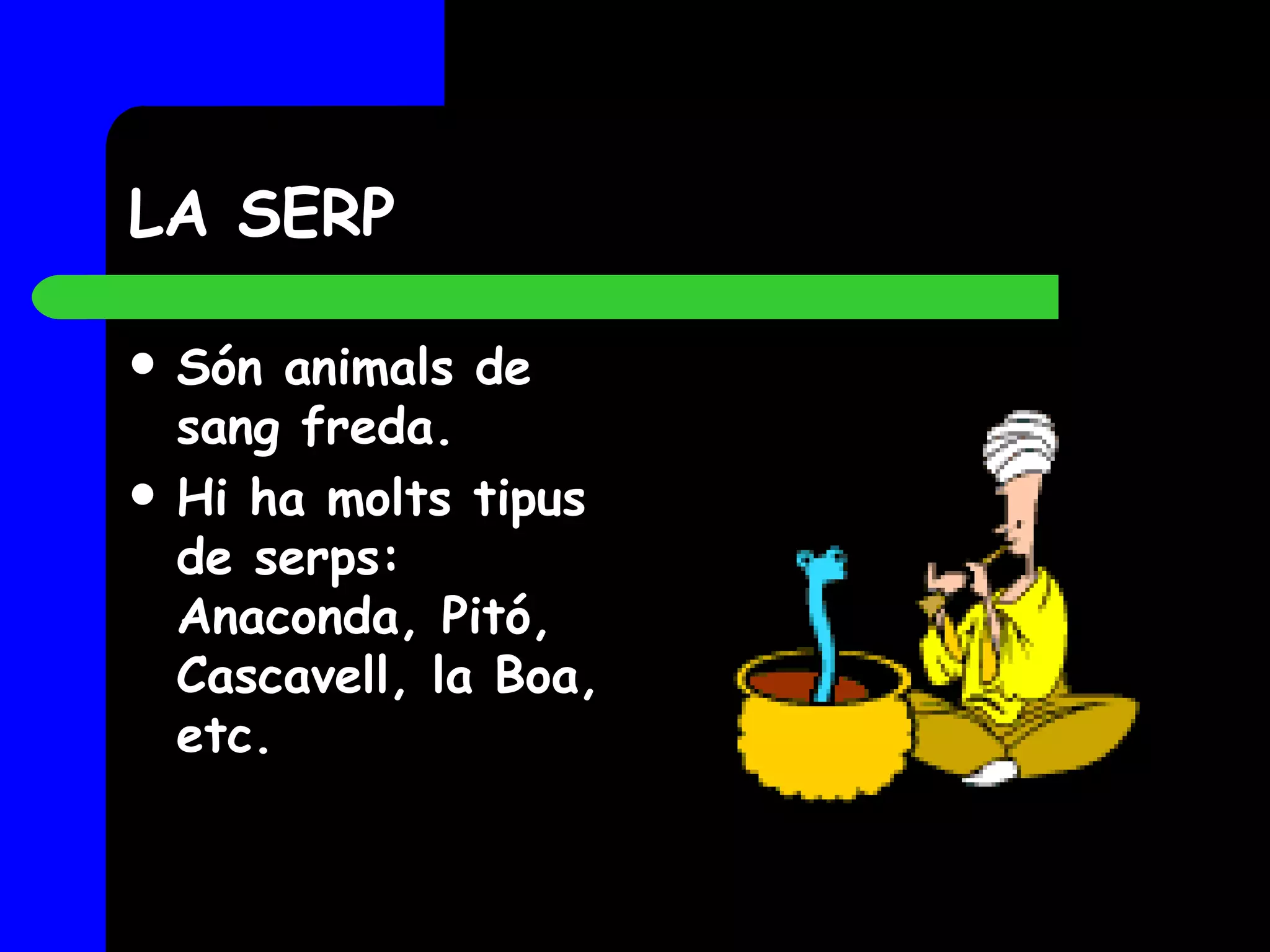 LA SERP Són animals de sang freda. Hi ha molts tipus de serps: Anaconda, Pitó, Cascavell, la Boa, etc. 