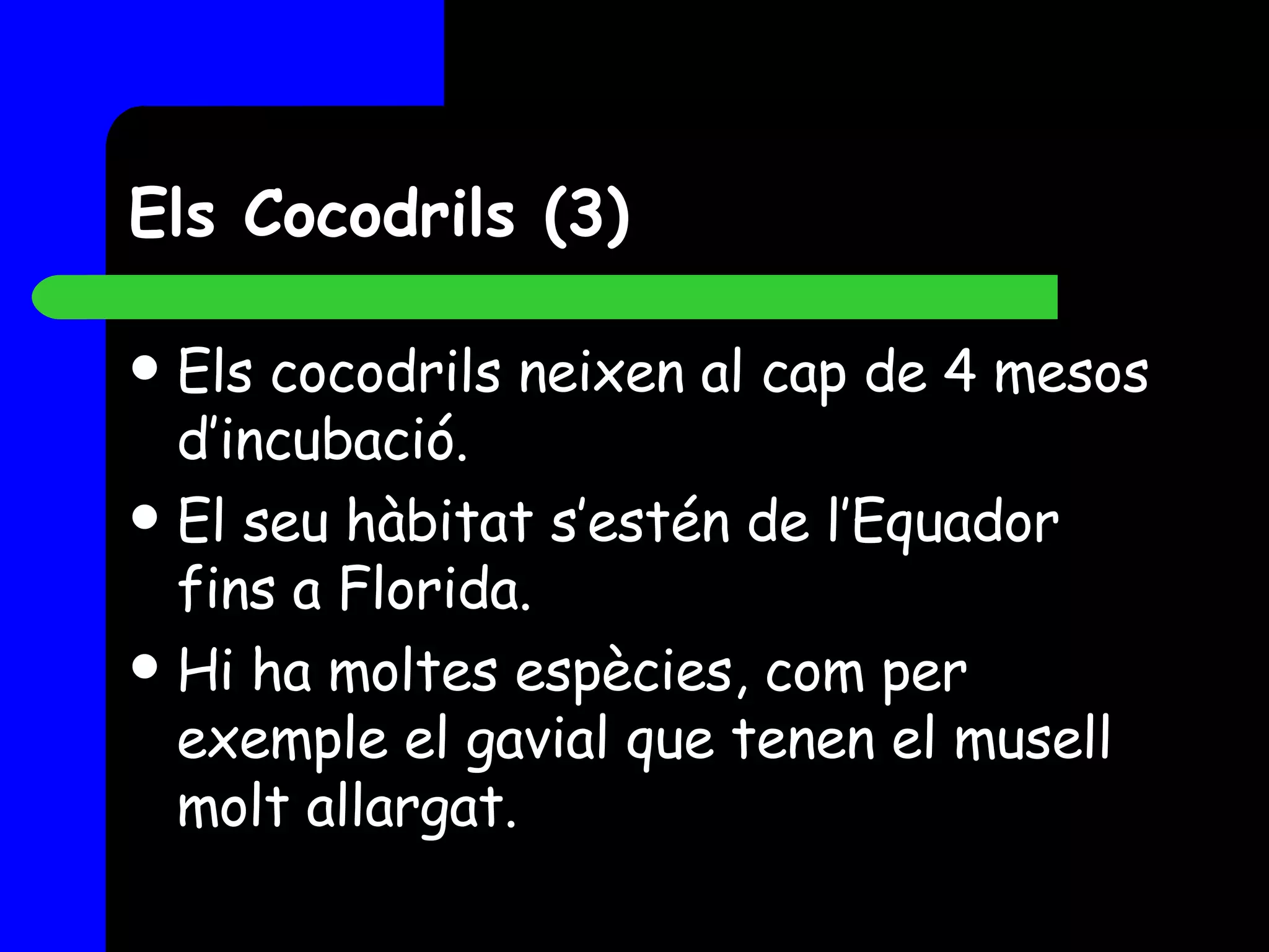 Els Cocodrils (3) Els cocodrils neixen al cap de 4 mesos d’incubació.  El seu hàbitat s’estén de l’Equador fins a Florida.  Hi ha moltes espècies, com per exemple el gavial que tenen el musell molt allargat. 