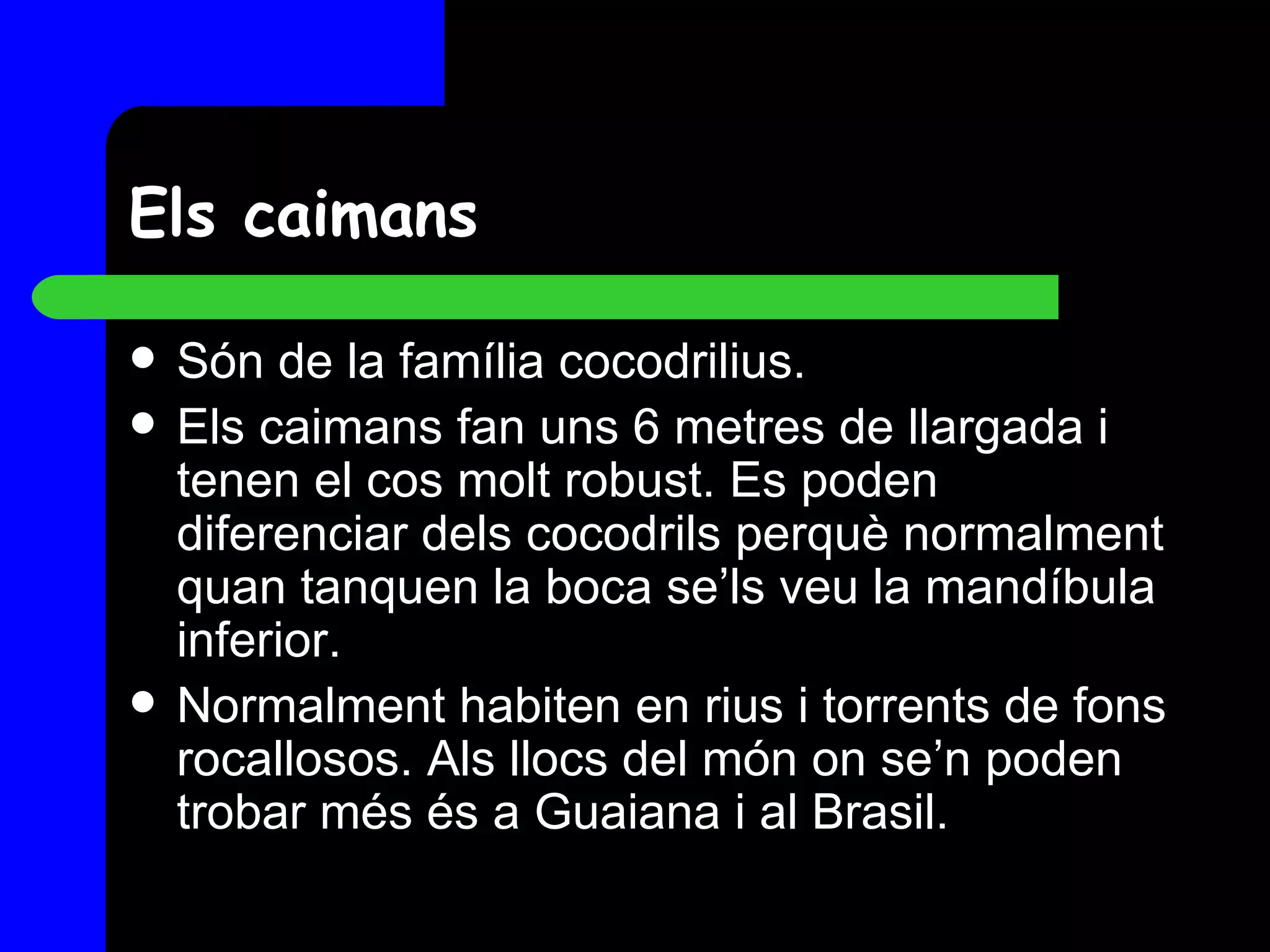 Els caimans Són de la família cocodrilius. Els caimans fan uns 6 metres de llargada i tenen el cos molt robust. Es poden diferenciar dels cocodrils perquè normalment quan tanquen la boca se’ls veu la mandíbula inferior. Normalment habiten en rius i torrents de fons rocallosos. Als llocs del món on se’n poden trobar més és a Guaiana i al Brasil. 