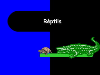 Rèptils 