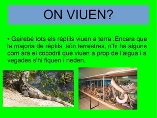 ● Gairebé tots els réptils viuen a terra .Encara que
la majoria de réptils són terrestres, n'hi ha alguns
com ara el cocodril que viuen a prop de l'aigua i a
vegades s'hi fiquen i neden.
ON VIUEN?
 