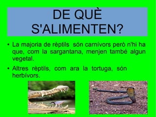 ● La majoria de rèptils són carnívors però n'hi ha
que, com la sargantana, menjen també algun
vegetal.
● Altres rèptils, com ara la tortuga, són
herbívors.
DE QUÈ
S'ALIMENTEN?
 