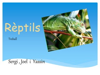 Rèptils
Treball
Sergi , Joel i Yassin
 