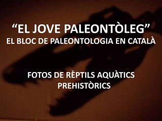 “EL JOVE PALEONTÒLEG”
EL BLOC DE PALEONTOLOGIA EN CATALÀ
FOTOS DE RÈPTILS AQUÀTICS
PREHISTÒRICS
 