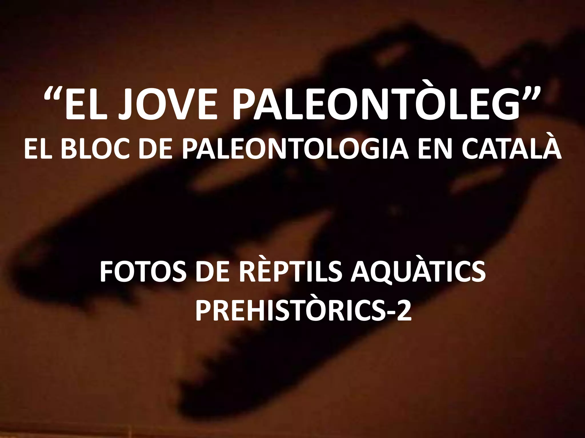 “EL JOVE PALEONTÒLEG”
EL BLOC DE PALEONTOLOGIA EN CATALÀ
FOTOS DE RÈPTILS AQUÀTICS
PREHISTÒRICS-2
