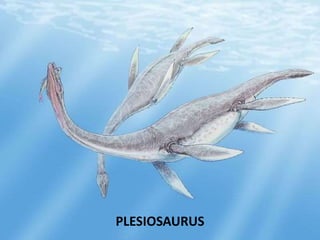 PLESIOSAURUS