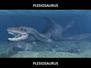 PLESIOSAURUS
PLESIOSAURUS