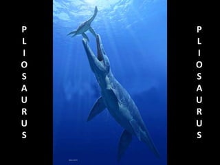 P
L
I
O
S
A
U
R
U
S
P
L
I
O
S
A
U
R
U
S