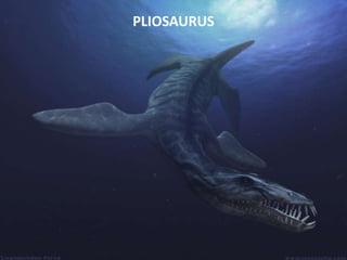 PLIOSAURUS