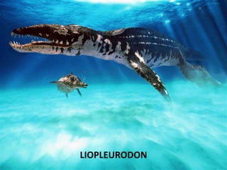 LIOPLEURODON