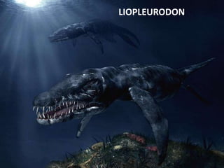 LIOPLEURODON