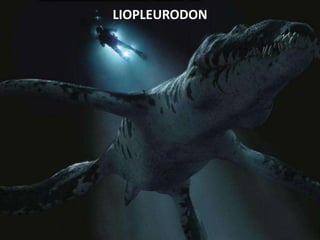LIOPLEURODON