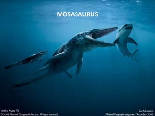 MOSASAURUS