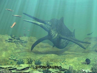 SHONISAURUS