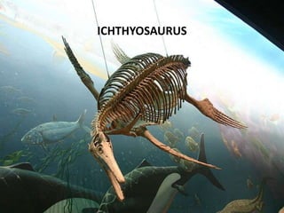 ICHTHYOSAURUS