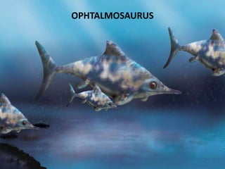 OPHTALMOSAURUS