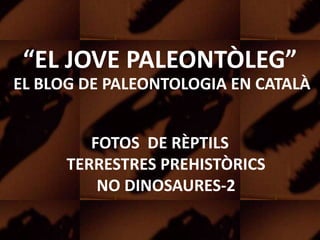 “EL JOVE PALEONTÒLEG”
EL BLOG DE PALEONTOLOGIA EN CATALÀ
FOTOS DE RÈPTILS
TERRESTRES PREHISTÒRICS
NO DINOSAURES-2
 