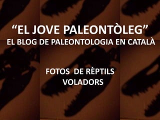 “EL JOVE PALEONTÒLEG”
EL BLOG DE PALEONTOLOGIA EN CATALÀ
FOTOS DE RÈPTILS
VOLADORS
 