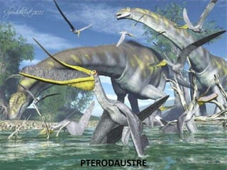 PTERODAUSTRE
 