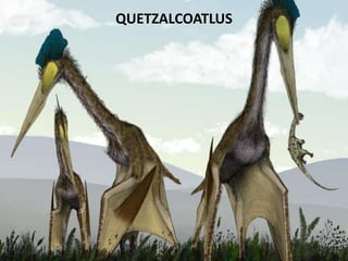 QUETZALCOATLUS
 