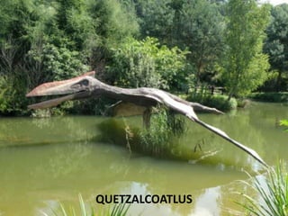 QUETZALCOATLUS
 