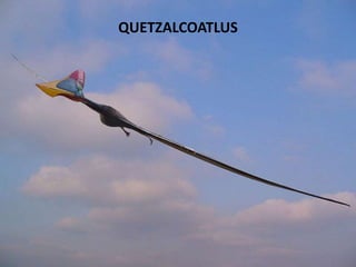 QUETZALCOATLUS
 