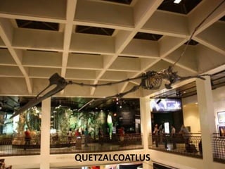QUETZALCOATLUS
 