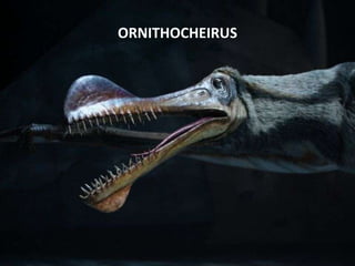 ORNITHOCHEIRUS
 