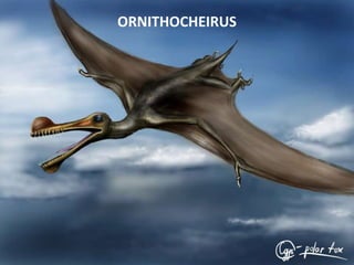 ORNITHOCHEIRUS
 