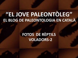 “EL JOVE PALEONTÒLEG”
EL BLOG DE PALEONTOLOGIA EN CATALÀ
FOTOS DE RÈPTILS
VOLADORS-2
 