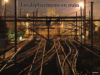 Les déplacements en train

2ZLPhoto

 