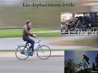 Les déplacements à vélo

2ZLPhoto

 