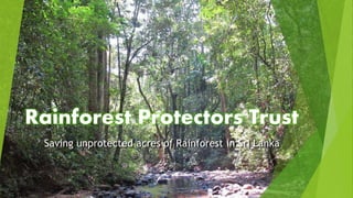 Rainforest Protectors Trust
Saving unprotected acres of Rainforest in Sri Lanka
 