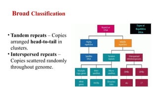 Repititve DNA sequences: Types & Classification | PPTX