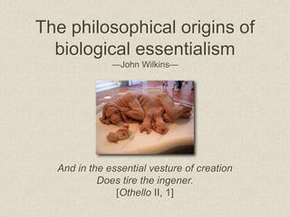 And in the essential vesture of creation
Does tire the ingener.
[Othello II, 1]
The philosophical origins of
biological essentialism
—John Wilkins—
 
